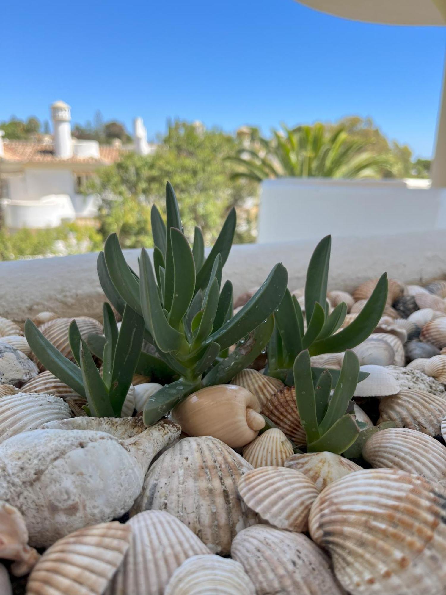 Casadeleon - Costadelsol Vacations & Remote Work Sitio de Calahonda Dış mekan fotoğraf
