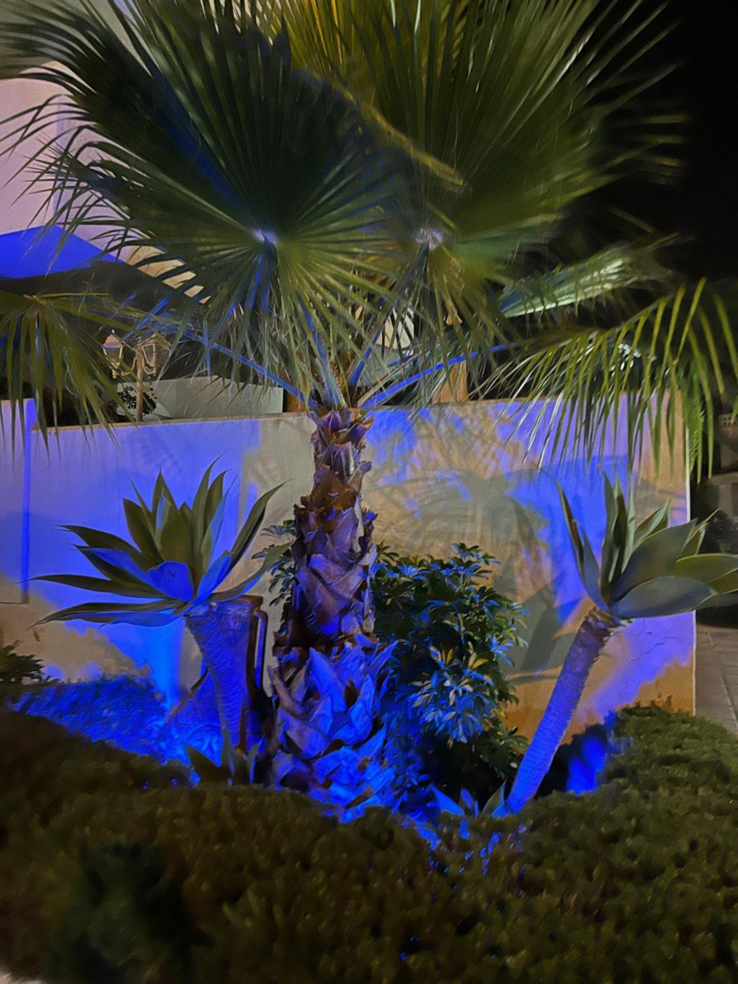 Casadeleon - Costadelsol Vacations & Remote Work Sitio de Calahonda Dış mekan fotoğraf