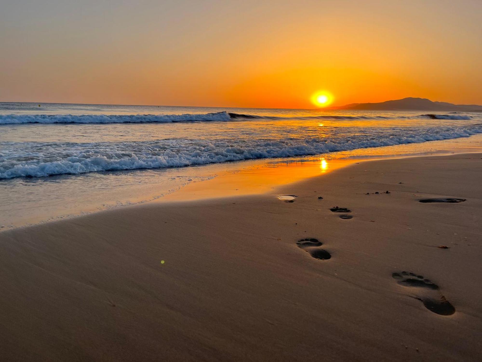 Casadeleon - Costadelsol Vacations & Remote Work Sitio de Calahonda Dış mekan fotoğraf