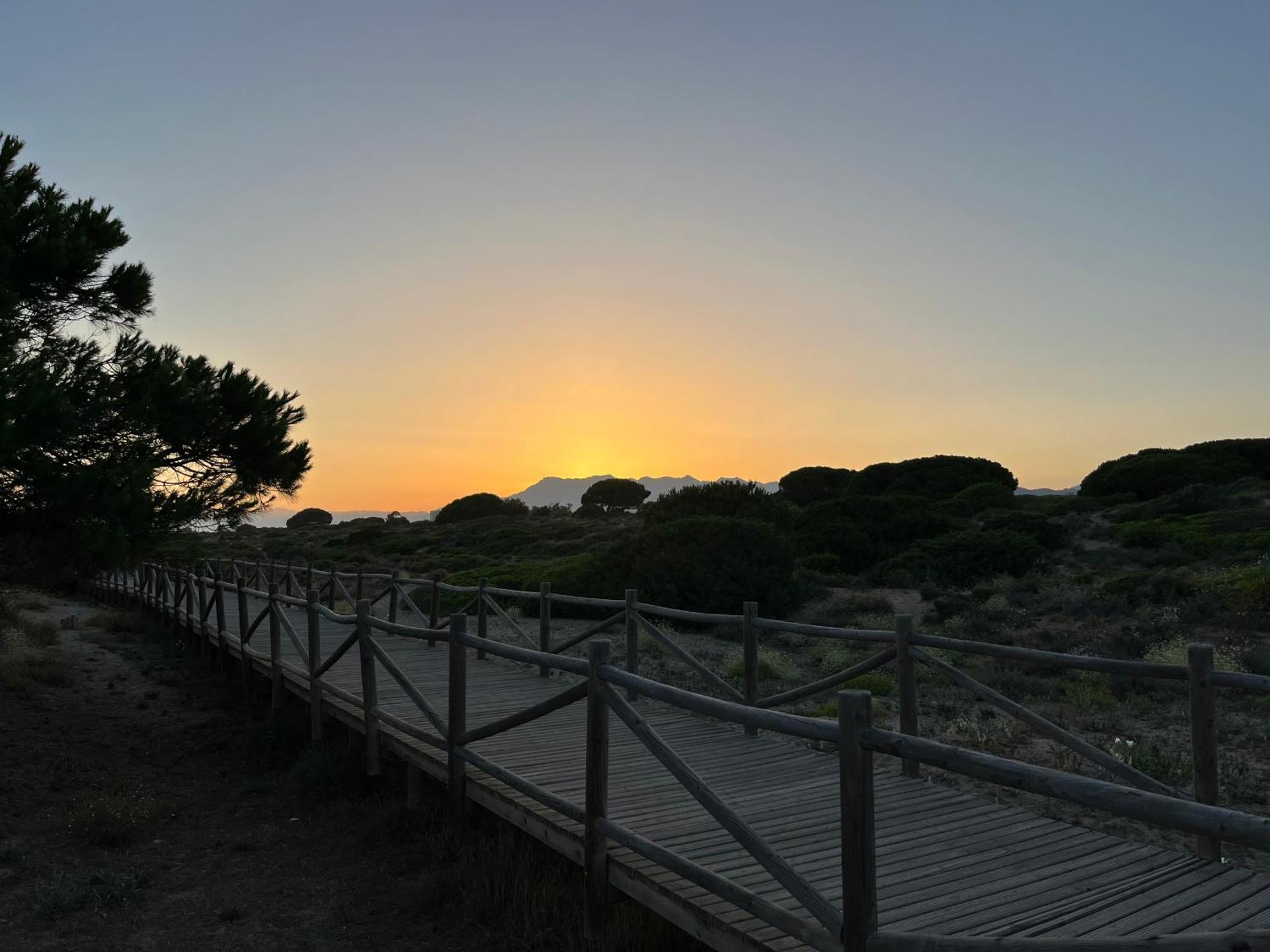 Casadeleon - Costadelsol Vacations & Remote Work Sitio de Calahonda Dış mekan fotoğraf